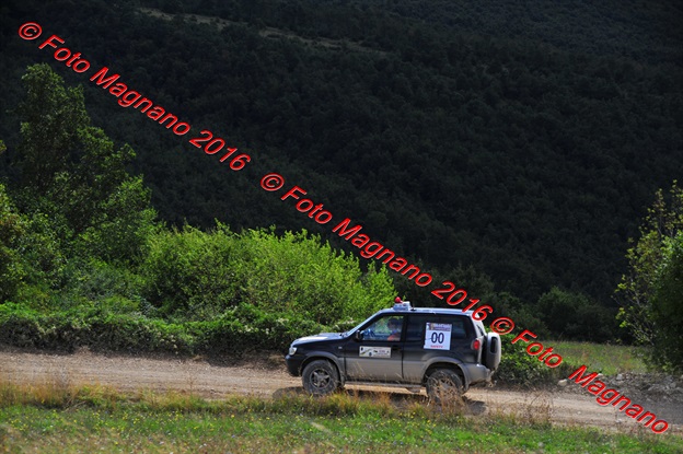 DSC_7564.JPG